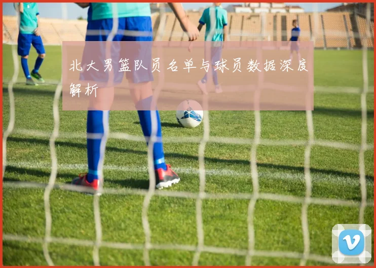 北大男篮队员名单与球员数据深度解析
